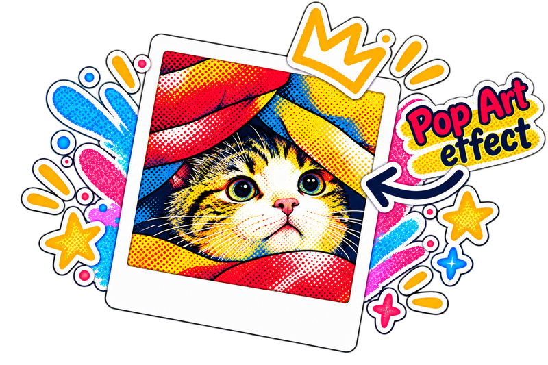 Cat photo in pop art colors