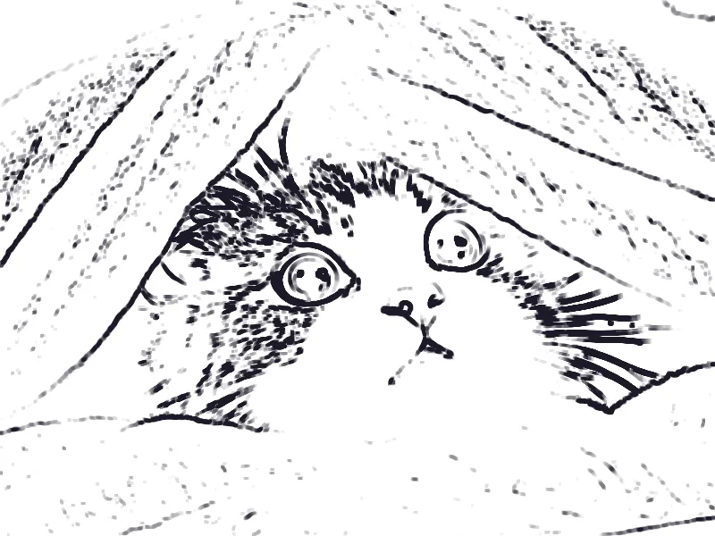 A kitten photo redrawn as line art