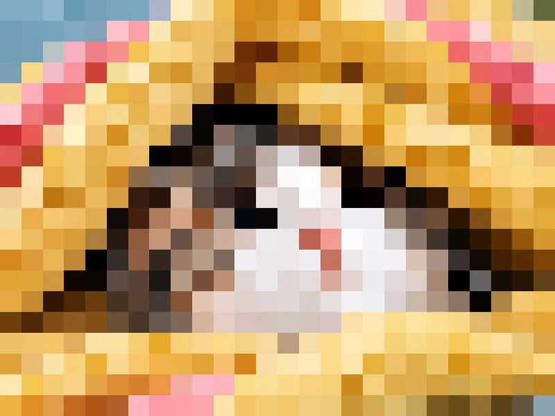 A kitten photo turned into large square pixels